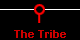 The Tribe