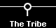 The Tribe